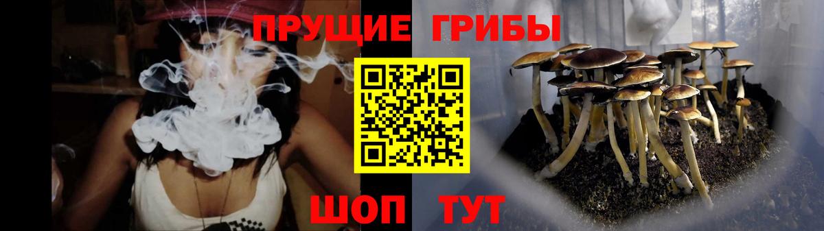 Псилоцибиновые грибы мухоморы Усть-Джегута